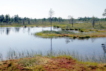 Similar image 2946919