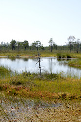 Similar image 2946920