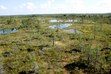 Similar image 2946921