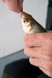 Similar image 2946978