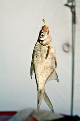 Similar image 2946979