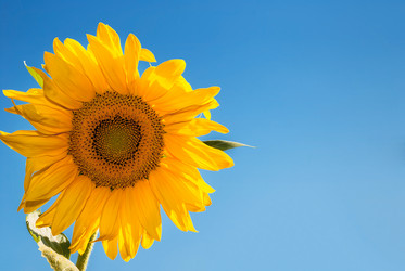 Similar image 2947112