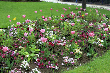 Similar image 2947121