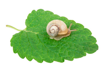 Similar image 2947173