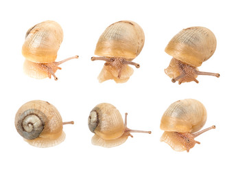 Similar image 2947174