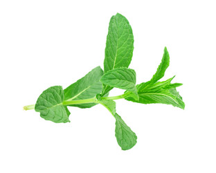 Similar image 2947180