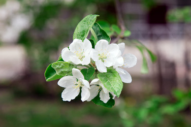 Similar image 2947185