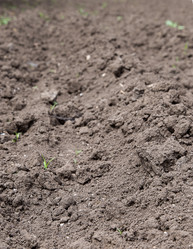 Similar image 2947189