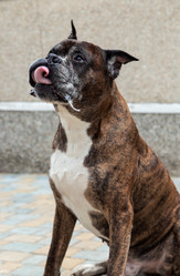 Similar image 2947190