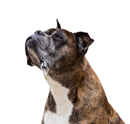 Similar image 2947201