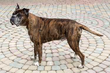 Similar image 2947202