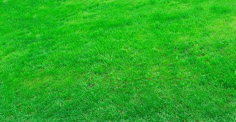 Similar image 2947215