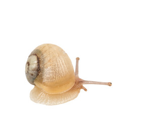 Similar image 2947218