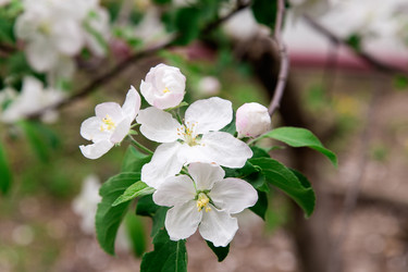 Similar image 2947234