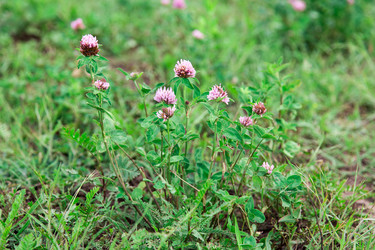 Similar image 2947264