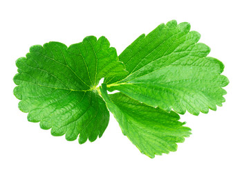 Similar image 2947267