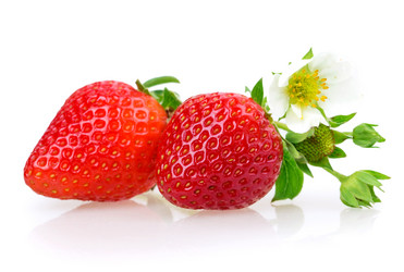 Similar image 2947268