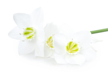 Similar image 2947310