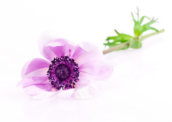 Similar image 2947311