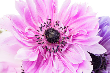 Similar image 2947312