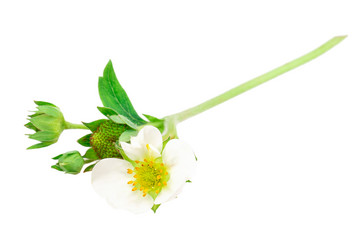 Similar image 2947313