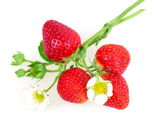 Similar image 2947314