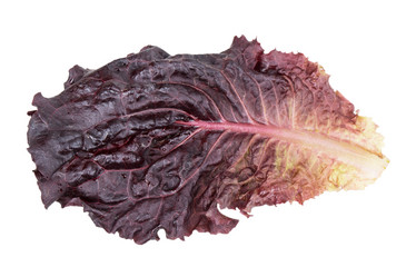 Similar image 2947315