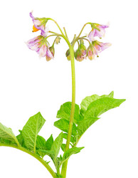 Similar image 2947317