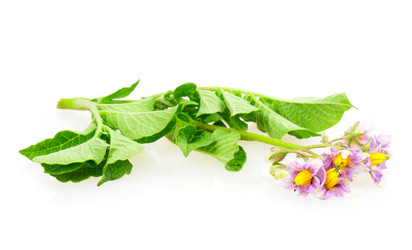 Similar image 2947318