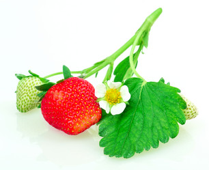 Similar image 2947321