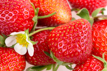 Similar image 2947337