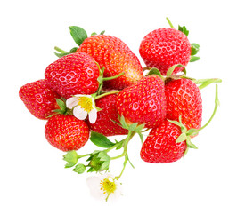 Similar image 2947338