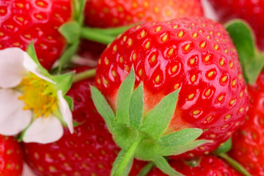 Similar image 2947342