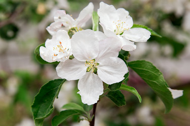 Similar image 2947343