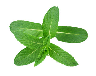 Similar image 2947353