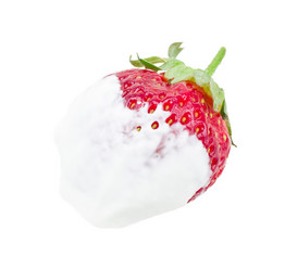 Similar image 2947362