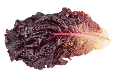 Similar image 2947366