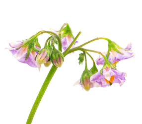 Similar image 2947367