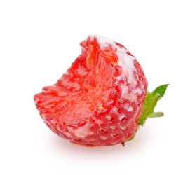 Similar image 2947373