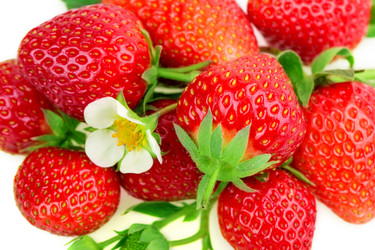 Similar image 2947381