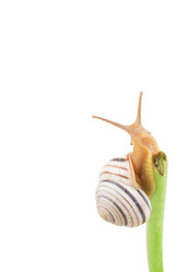 Similar image 2947385