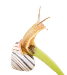 Similar image 2947386