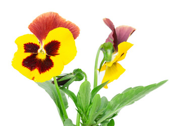 Similar image 2947387