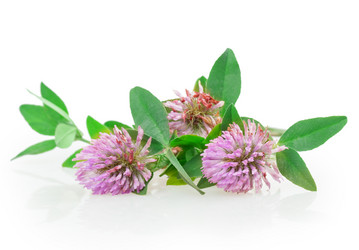 Similar image 2947388