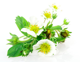 Similar image 2947392