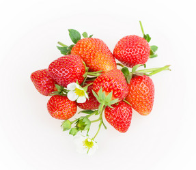 Similar image 2947393