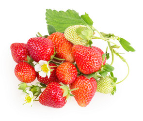 Similar image 2947394