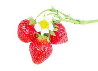 Similar image 2947396