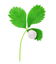 Similar image 2947397