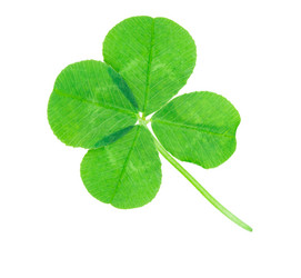 Similar image 2947410